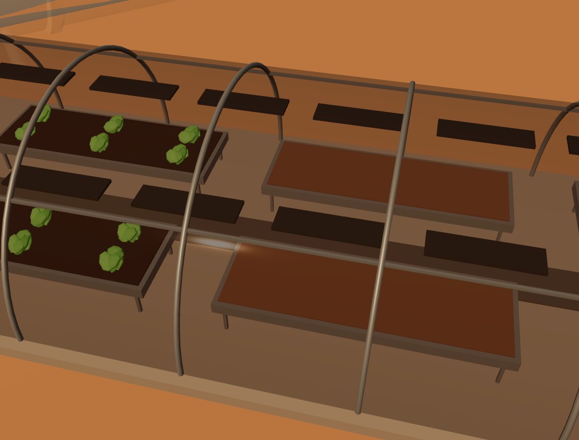 Inside a greenhouse tunnel: lettuce growing in hydroponic racks under grow lights